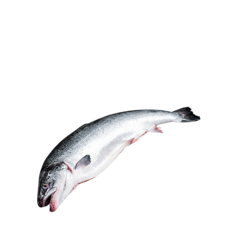 Tassal Whole Premium Tasmanian Atlantic Salmon