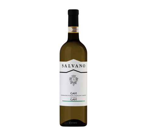 Salvano Gavi 2024